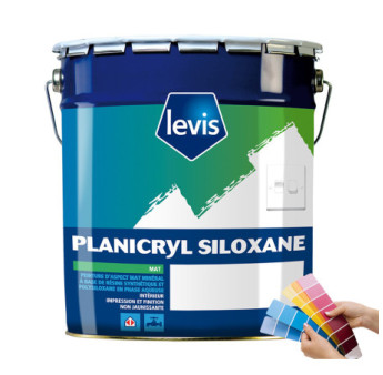 Peinture LEVIS Planicryl siloxane blanc 5L