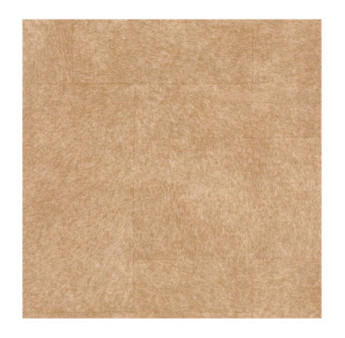 Papier Peint CASADECO Leathers LEAT87172110