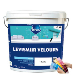 Peinture LEVIS Levismur velours base C 1L