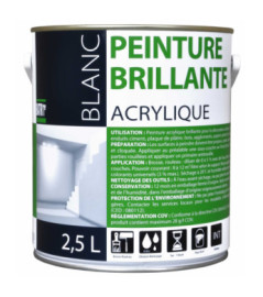 Peinture acrylique BATIR 1° brillant blanc 2,5L