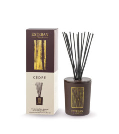 ESTEBAN Bouquet parfumé décoratif rechargeable  CEDRE  100ml