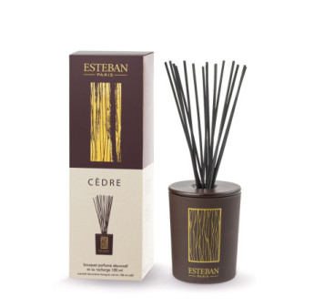 ESTEBAN Bouquet parfumé décoratif rechargeable  CEDRE  100ml