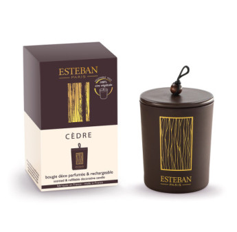 ESTEBAN Bougie parfumée décorative et rechargeable CEDRE   180g