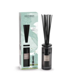 ESTEBAN Bouquet parfumé rechargeable  PUR LIN   100ml