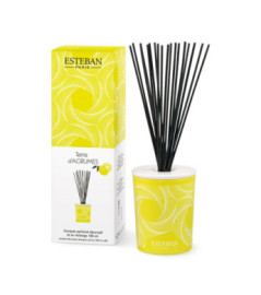 ESTEBAN Bouquet parfumé décoratif rechargeable  TERRE d'AGRUMES   100ml