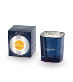 ESTEBAN Bougie parfumée rechargeable Elessens  AMBRE et VANILLE ETOILEE 180g