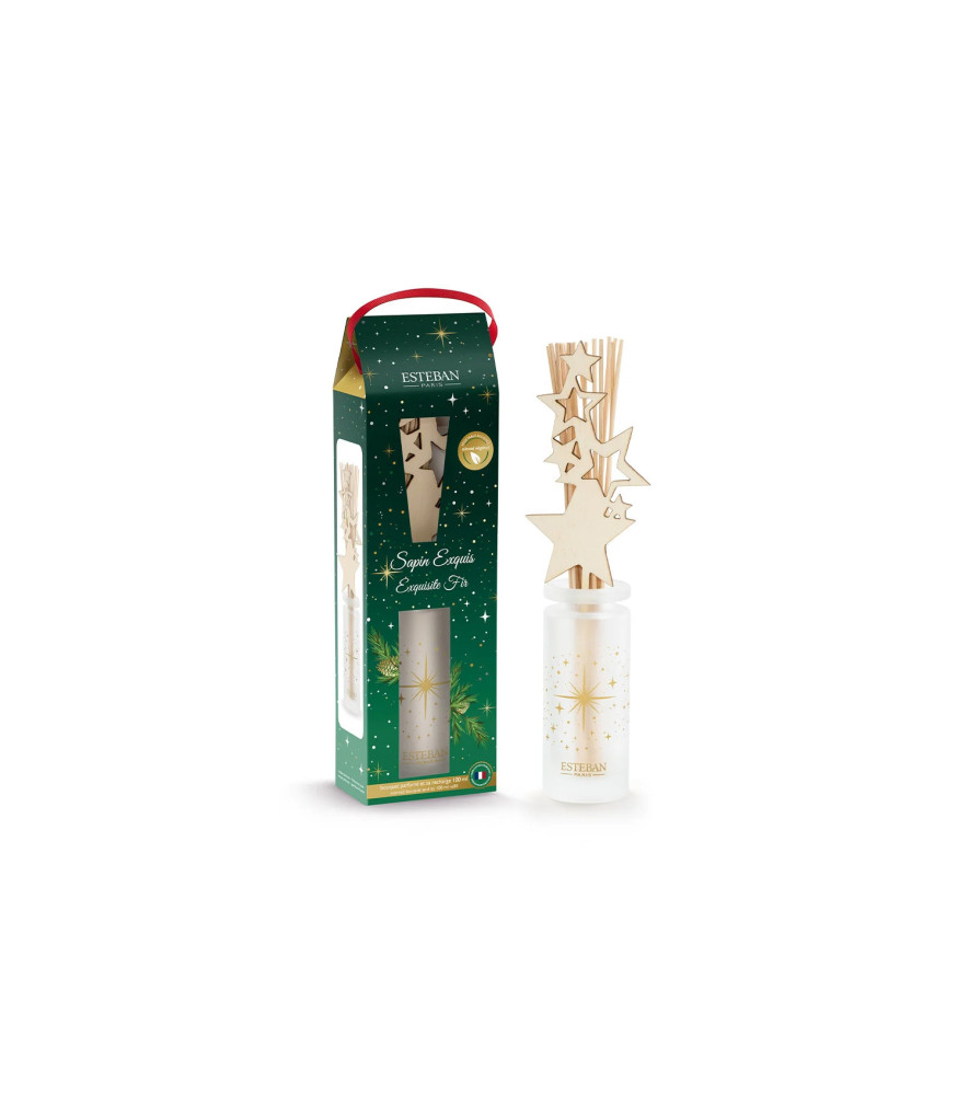 ESTEBAN Bouquet parfumé rechargeable  SAPIN EXQUIS     100ml