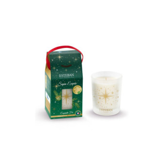 ESTEBAN Bougie parfumée rechargeable  SAPIN EXQUIS  180g