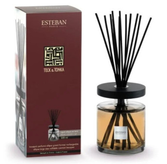 ESTEBAN Bouquet parfumé Ellipse rechargeable  TECK & TONKA 500ml