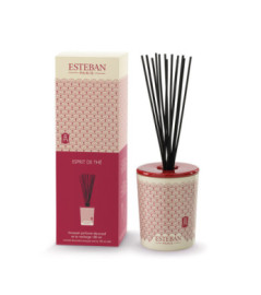 ESTEBAN Bouquet parfumé décoratif rechargeable  ESPRIT de THÉ 100ml