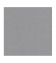 Papier Peint ERISMANN Spotlight 1043747