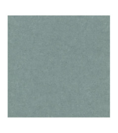 Papier Peint ERISMANN Gentle 1043007