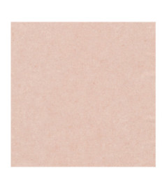 Papier Peint ERISMANN Gentle 1043023