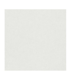 Papier Peint ERISMANN Gentle 1043001