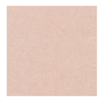 Papier Peint ERISMANN Gentle 1043023