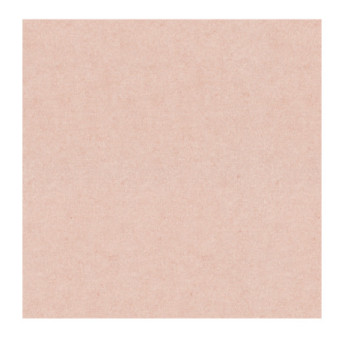 Papier Peint ERISMANN Gentle 1220723