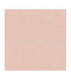 Papier Peint ERISMANN Gentle 1220723