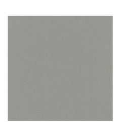 Papier Peint ERISMANN Spotlight 1043724