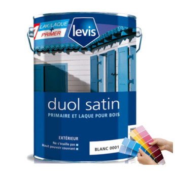 Peinture LEVIS Duol satin blanc 10L