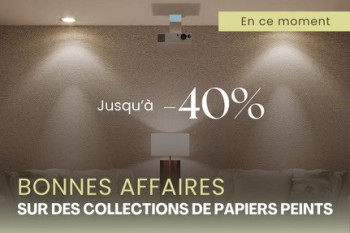 Bonnes Affaires Papiers Peints