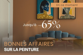 Bonnes Affaires en Peinture