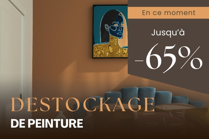 Destockage de Peinture