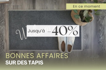 Bonnes affaires sur les Tapis